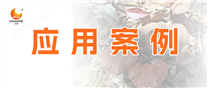 案例分享|才茂靈芝種植智能系統(tǒng)應(yīng)用項目
