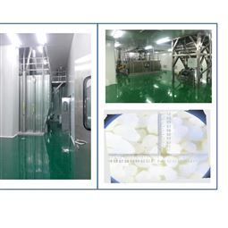 GMP 型连续喷雾流化床造丸造粒装置
