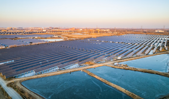 潮水褪去，看潮内的跨界光伏者们