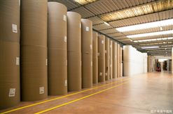 绿色低碳X智能创新！2026广州国际纸展暨纸基材料展，邀您解锁纸业新机遇