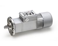 意大利 Mini Motor 蝸輪蝸桿減速電機在食品包裝設備中的應用技術分析