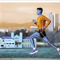 智能识别之姿态估计系统