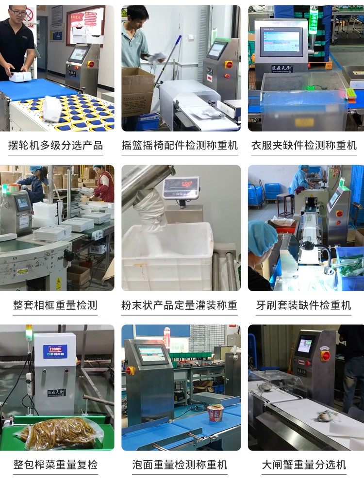250612称重机综合详情 (8).jpg