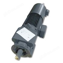 Bauer Gear Motor GmbH电机189M4967