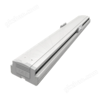 IS(P)B-W滑块型电缸