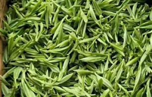 首个“茶叶分选智能体矩阵” 发布，开启AI分选新时代！