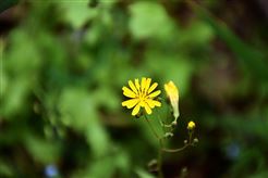 2025年中国注塑技术专利盘点（不完全统计）